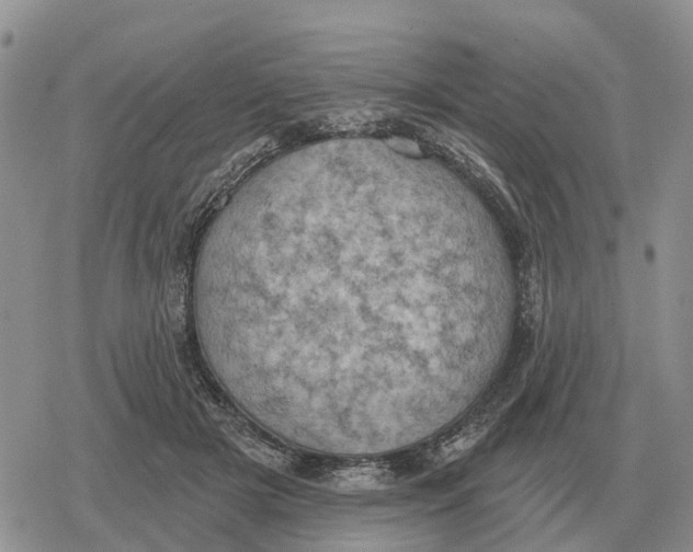 X0000078290505200611251446