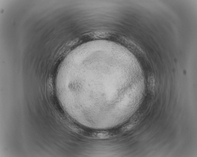 X0000078290506200611251446