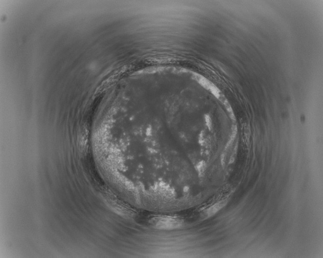 X0000078290507200611251446