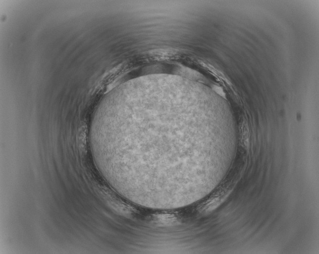 X0000078290509200611251446