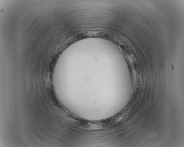 X0000078290510200611251446