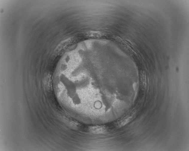 X0000078290511200611251446