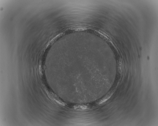 X0000078290512200611251446