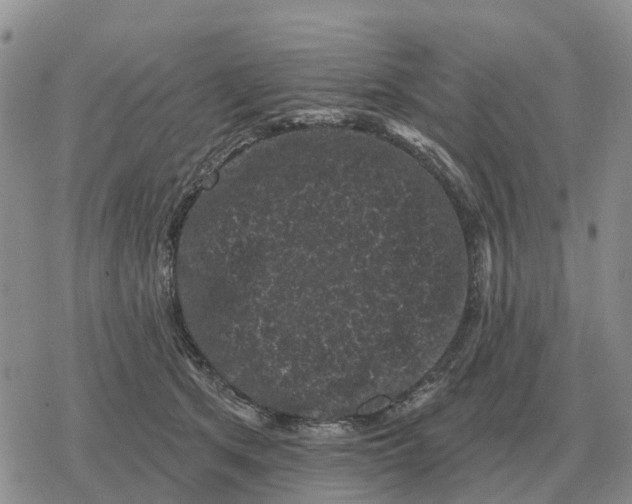 X0000078290513200611251446