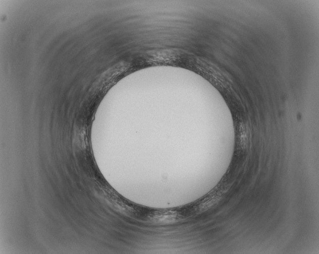 X0000078290514200611251446