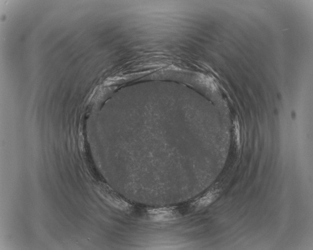 X0000078290516200611251446