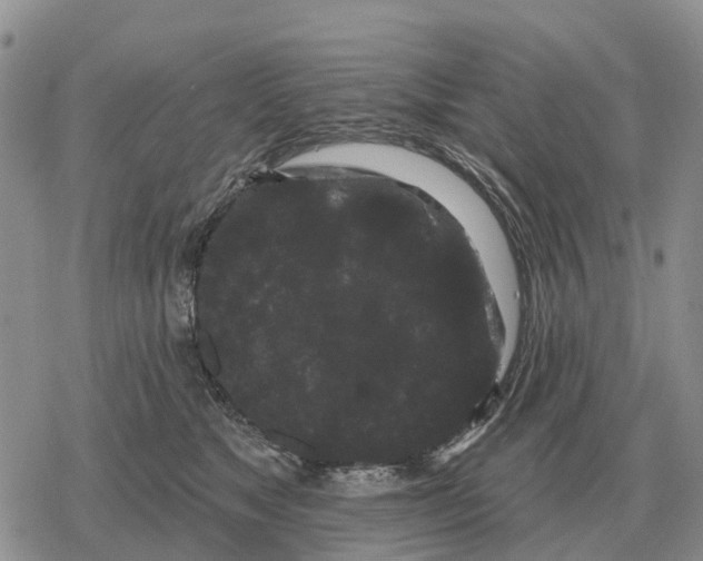 X0000078290517200611251446