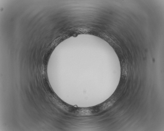 X0000078290518200611251446