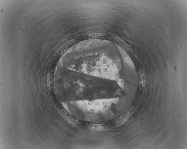 X0000078290519200611251446