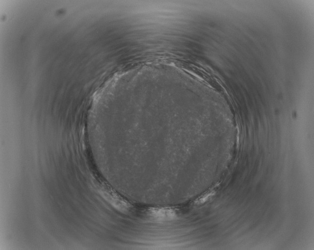 X0000078290520200611251446