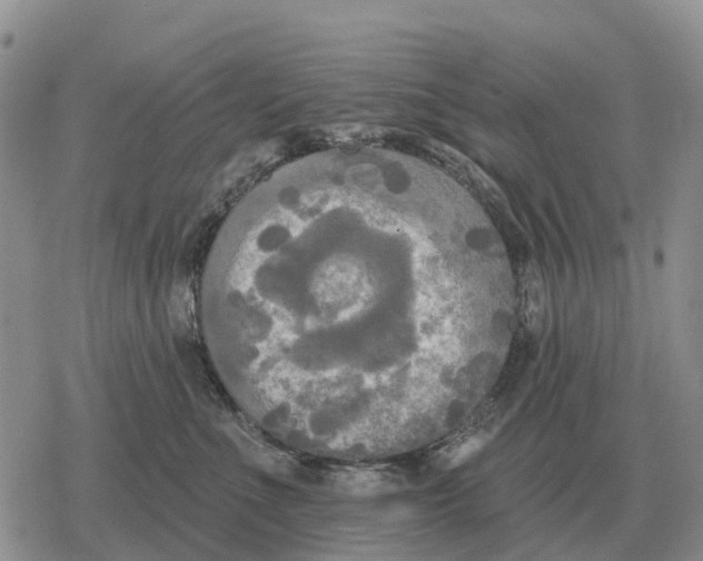 X0000078290523200611251446