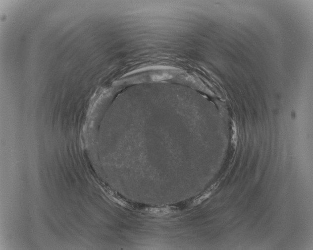 X0000078290524200611251446