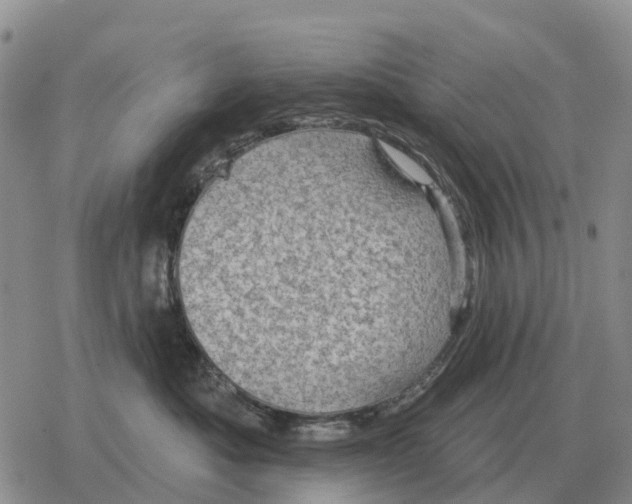 X0000078290525200611251446