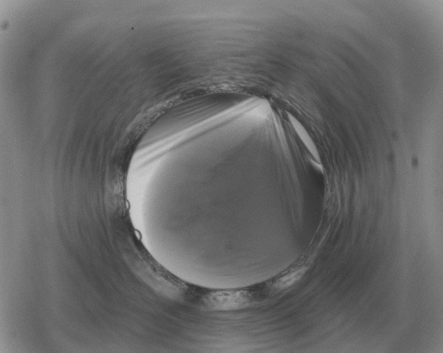 X0000078290526200611251446