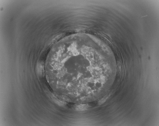 X0000078290527200611251446