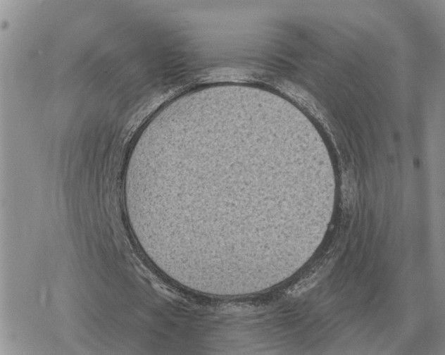 X0000078290529200611251445