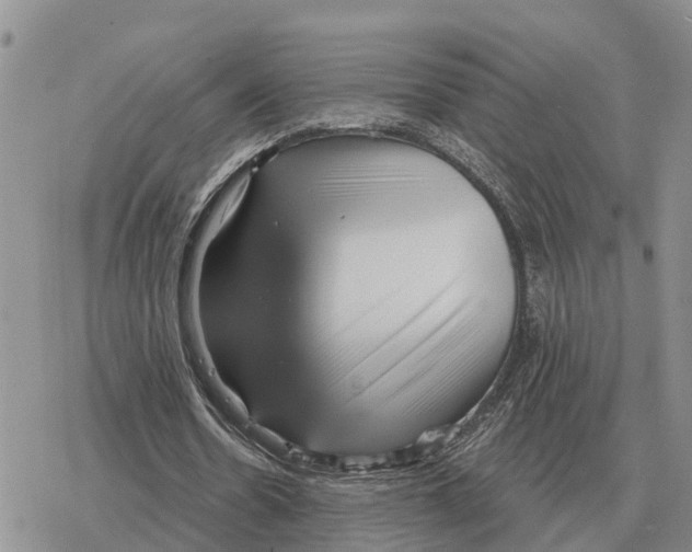 X0000078290530200611251445