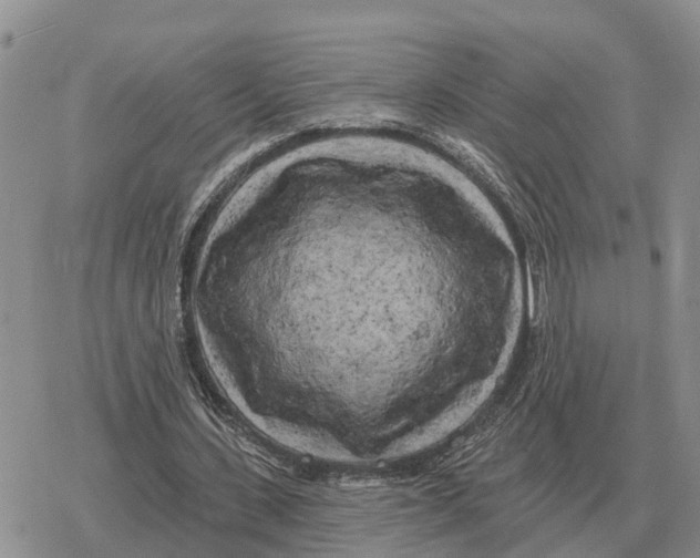 X0000078290531200611251445