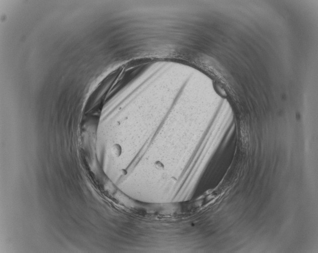 X0000078290532200611251445