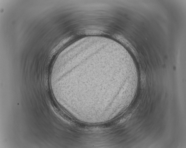 X0000078290533200611251445