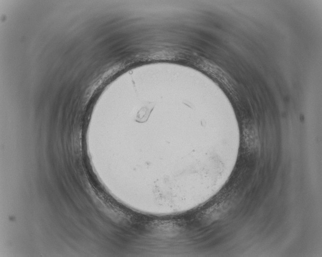 X0000078290534200611251445