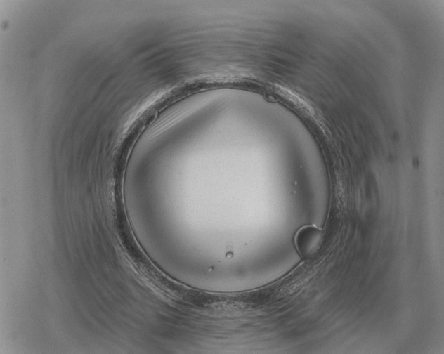 X0000078290535200611251445