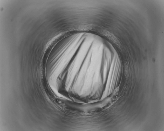 X0000078290536200611251445