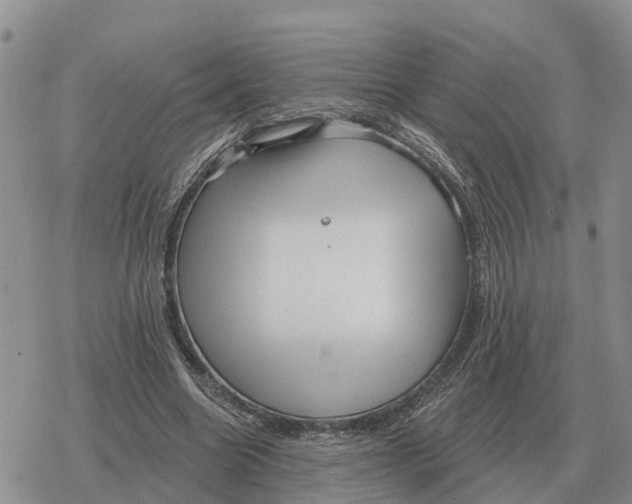 X0000078290538200611251445