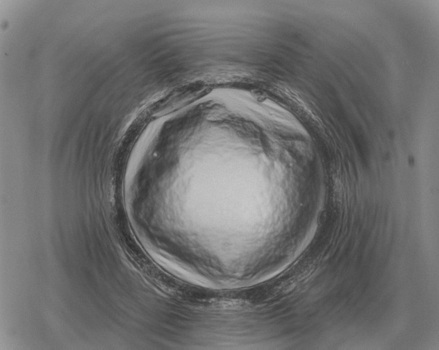 X0000078290539200611251445