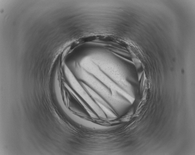 X0000078290540200611251445