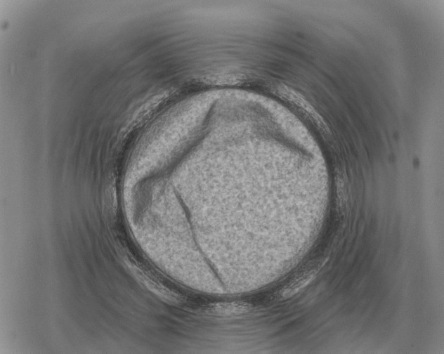 X0000078290541200611251445