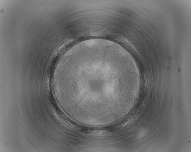 X0000078290542200611251445