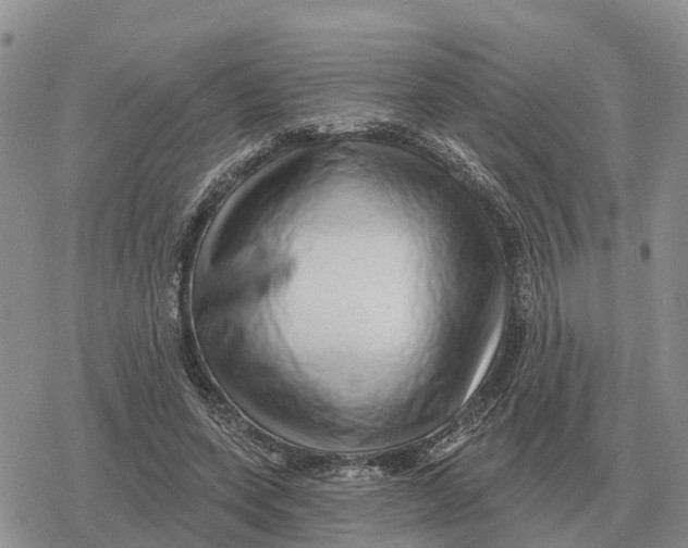 X0000078290543200611251445