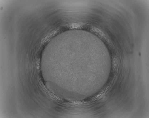 X0000078290545200611251446