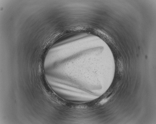 X0000078290546200611251446