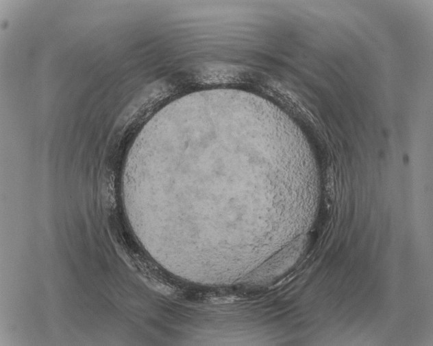 X0000078290547200611251446