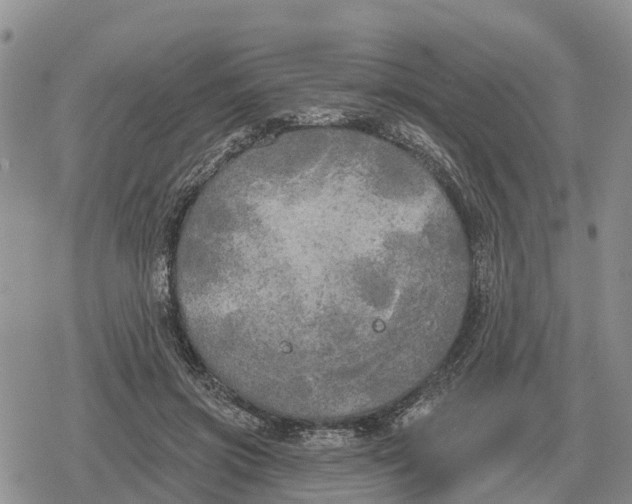 X0000078290549200611251446