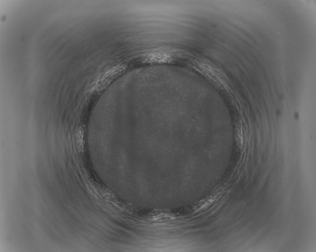 X0000078290551200611251446