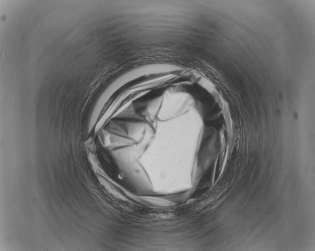 X0000078290552200611251446