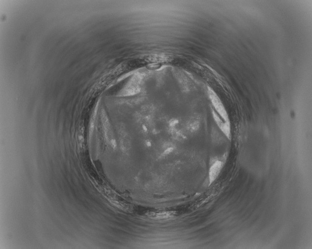 X0000078290553200611251446