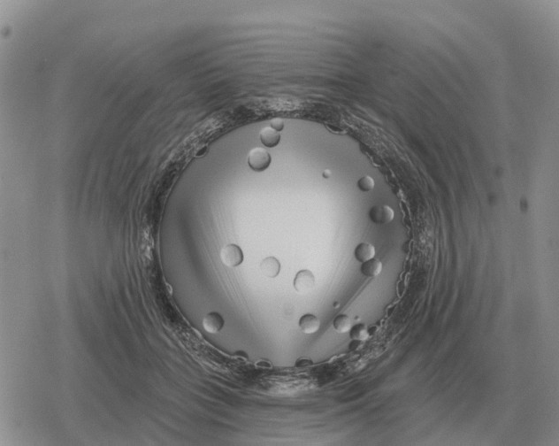 X0000078290555200611251446