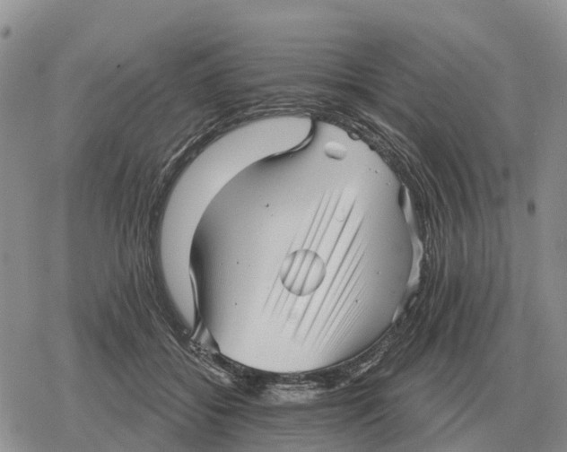 X0000078290556200611251446