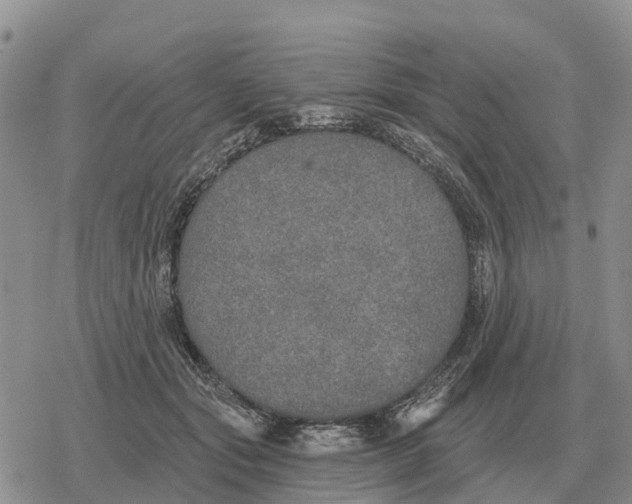 X0000078290557200611251446