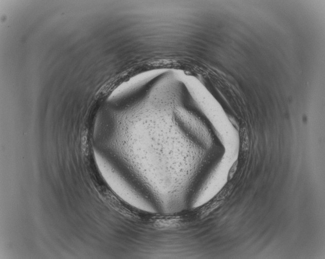 X0000078290560200611251446