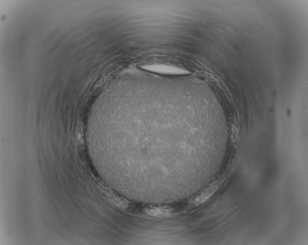 X0000078290561200611251446