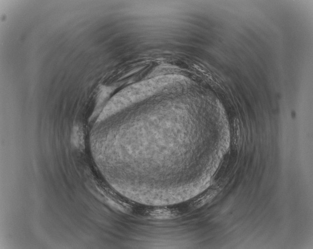 X0000078290562200611251446