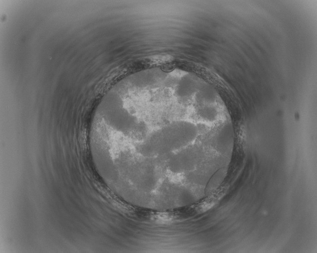 X0000078290565200611251446