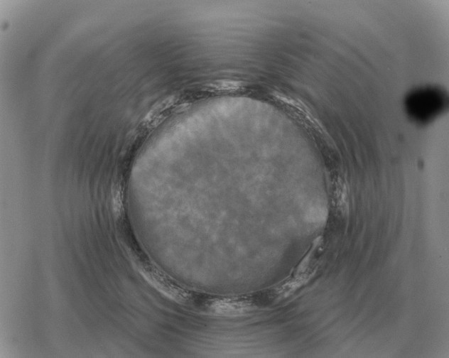 X0000078290568200611251446