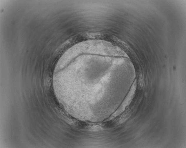 X0000078290569200611251446