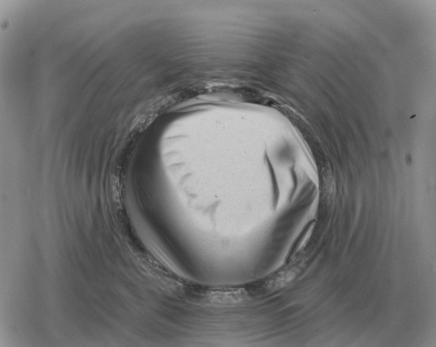 X0000078290571200611251446